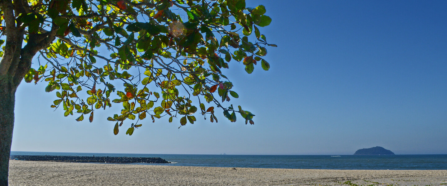 pés na areia e o coração no mar. venha para piçarras.